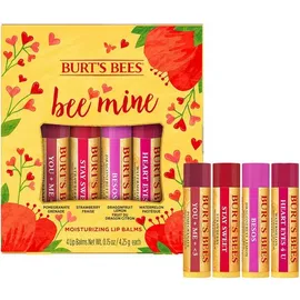 Burt's Bees Lippenbalm, Lippenpflegeprodukte für den ganzen Tag Hydration, Bee Mine - Strawberry, Dragonfruit Lemon, Pomegranate & Wassermelone, 4 Stück (Packaging May Vary)
