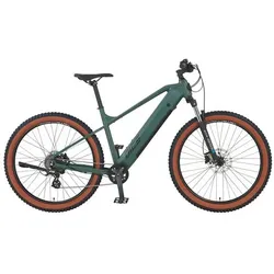 E-Mountainbike Dice 1.3