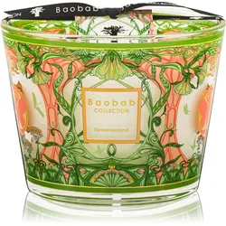 Baobab Collection Tomorrowland Duftkerze 10 cm