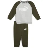 Puma Unisex Baby Minicats ESS Raglan Jogger FL Trainingsanzug