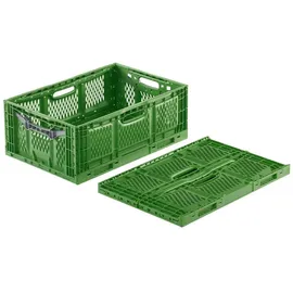 Westfalia Klappbox 60 x 40 x 23 cm 1-tlg. grün