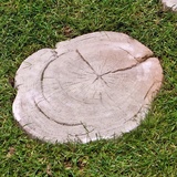 Ehl Baumscheibe (Naturbraun, Durchmesser: 300 mm - 450 mm, Stonewood, Beton)