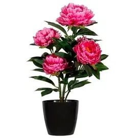 Paperflow meet powered by PAPERFLOW PFINGSTROSE Kunstpflanze 55,0 cm