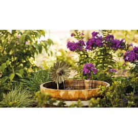 Aquanique Speier Set Gänseblümchen grau