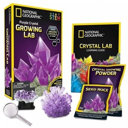 NATIONAL GEOGRAPHIC Lernspielzeug RTNGPCRYSTAL, Lila Purple Crystal bunt