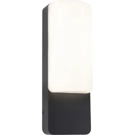 Paulmann Außenwandleuchte Aluminium 93x77mm 8,5W 560lm IP44 Anthrazit