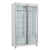 Mobiler Kühlschrank mit 2 Glastüren Getränkekühlschrank Gastro 785 L +1/10°C ISO 45 mm Weiß
