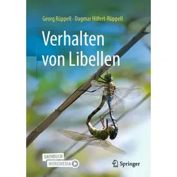 Verhalten von Libellen