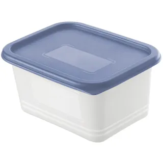 Rotho Gefrierdosen-Set Domino 4 x 0,75 L blau Frischhaltedose Kühlschrankdose