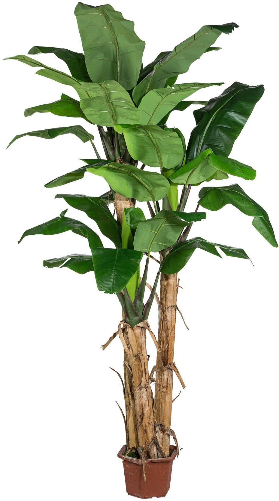 CREATIV green Künstliche Palme Bananenpflanze 280cm im Topf