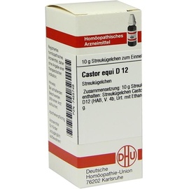 DHU-ARZNEIMITTEL CASTOR EQUI D12
