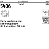 Industrial Quality Supplies Sicherungsblech DIN 540 MB 0 M 10 x 25 Stück