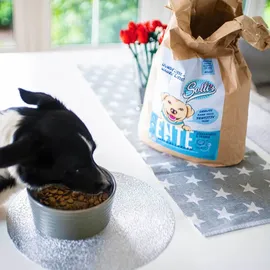 Sollis Ente-Regular 2 kg