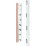 Durable Tabfix 200 mm 2-zeilig Transparent 5 St.