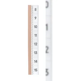 Durable Tabfix 200 mm 2-zeilig Transparent 5 St.