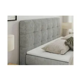 mks möbel Boxspringbett mit Bettkasten ¦ grau ¦ Maße (cm): B: 140 H: 110