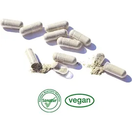 Sanatur Spiru B-Vitamin Complex Kapseln 90 St.