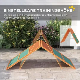 PawHut Agility-Wippe 173 x 59 x 66 cm Orange