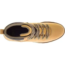 CAT Caterpillar Sire Wp