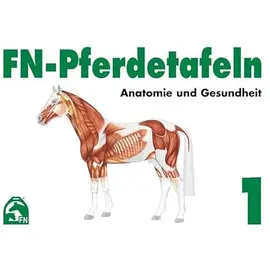 FNverlag FN-Pferdetafeln Set / FN-Pferdetafeln Set 1: Anatomie und Gesundheit: Enthält Tafel 1 - 13: Für Pferde giftige Pflanzen. Zäumungen. Farben und ... Atmungsorgane. Lage erkennbarer Veränderungen