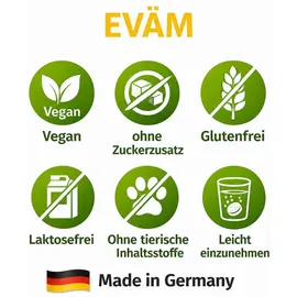 eväm Multivitamin Minerals Brausetabletten 20 St.