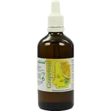 Dynamis Gesundheitsprod.Vertr.GmbH Grapefruit Kern Extrakt pur
