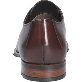 LLOYD CORE PLUS 110 Herren Braun 41