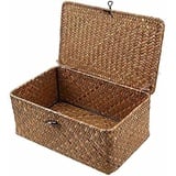 Aufbewahrungskorb aus geflochtenem Rattan, Aufbewahrungsbox mit Deckel, Seegras, Wäschekörbe, Make-up-Organizer für Badezimmer, Wohnzimmer, Küche (M:26 x 16 x 10 cm)