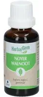 HERBALGEM - Noyer Bio Complément Alimentaire Extrait De Bourgeon Frais Pour Digestion & Flore Intestinale 30 ml Goutte(S)