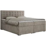 MKS Meble MKS Boxbett, Beige, 2-Sitzer, H3, Rechteckig, 160x200 cm, Schlafzimmer, Betten, Boxspringbetten