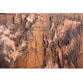 Garden Pleasure Wandbild 3D Weltkarte braun, Metall