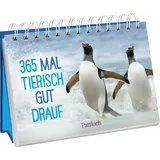 Pattloch Verlag GmbH + Co 365 mal tierisch gut drauf!: Immerwährender Kalender zum Aufstellen | Lustige Tierfotografien und Zitate, die gute Laune machen (Immerwährende Kalender für jeden Tag)