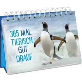 Pattloch Verlag GmbH + Co 365 mal tierisch gut drauf!: Immerwährender Kalender zum Aufstellen | Lustige Tierfotografien und Zitate, die gute Laune machen (Immerwährende Kalender für jeden Tag)