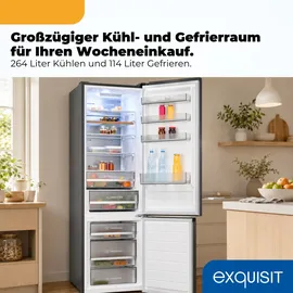 Exquisit KGC380-115-NF-040A Kühl-Gefrierkombination (377 l, 2005 mm hoch, Silber)