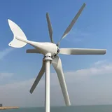 800W Windkraftanlage mit MPPT Laderegler für Zuhause 6 Flügeln 12V 24V 48V Windturbine Windmühle Windgenerator (24V mit Regler)