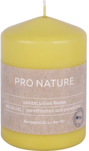 Müller Kerzen "PRO NATURE" Stearin Stumpenkerze 100/68mm, Nachhaltige Kerzen mit natürlichen Inhaltsstoffen in einer modernen kleinen Form, 1 Packung = 6 Stück, honig