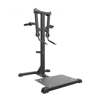 Taurus Seithebemaschine IFP | Standing Lateral Raise