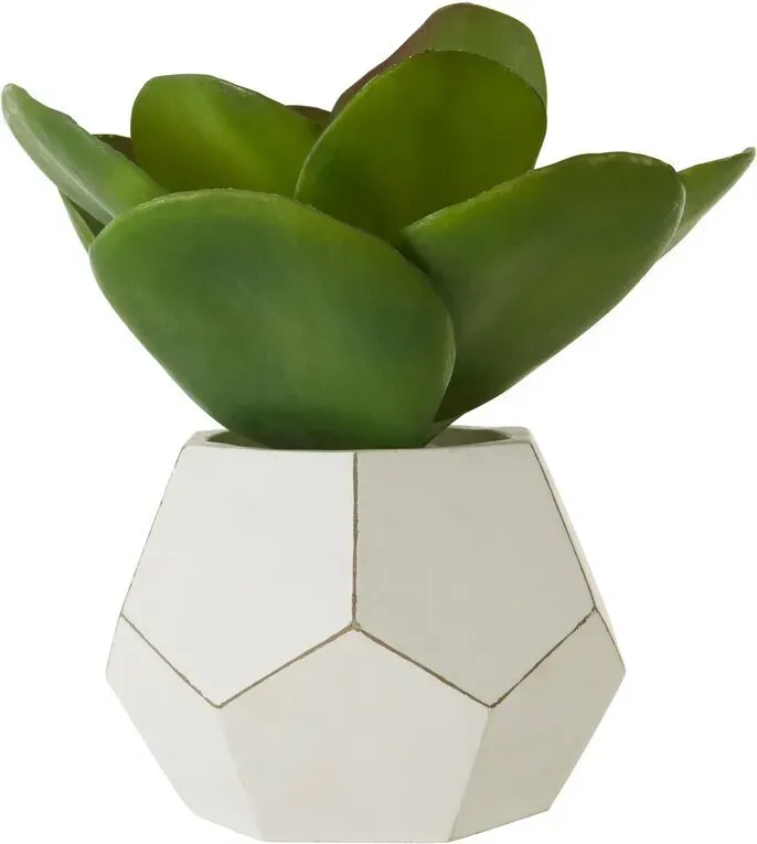 Premier Housewares Fiori kunstliche Sukulente im Zementtopf, dekoratives Kunstpflanze mit 3D‐Beton‐Topf, künstliches Botanik‐Dekor