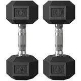 SONGMICS Hantel-Set , Hanteln 2er Set, Kurzhantel-Set, für Workout, Fitnesstraining, Gewichtheben für Zuhause, Fitnessstudio