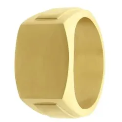 Lucardi Vergoldeter Herren-Siegelring aus Edelstahl Herrenschmuck   