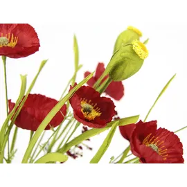 MY HOME »Mohnblumen« 2er Set rot