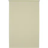 Good Life Seitenzugrollo Amelie 82 x 180 cm creme