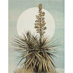 Bild KOMAR "Plans de Lagon", bunt (farbe bild(er): bunt), B:40cm H:50cm, Papier, Holz, Bilder, Wandbild zur Dekoration - ohne Rahmen