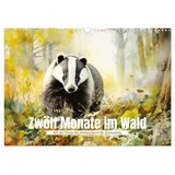 Calvendo Zwölf Monate im Wald Wandkalender mehrfarbig 2026