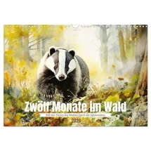 Calvendo Zwölf Monate im Wald Wandkalender mehrfarbig 2026