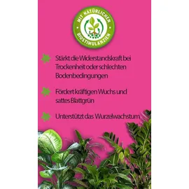 Substral Flüssigdünger Grünpflanzen 500 ml