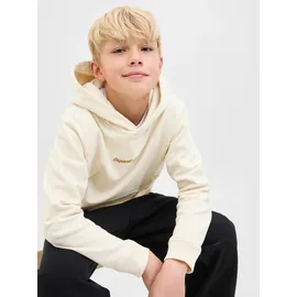 Jack & Jones Junior JACK & JONES Jornorrebro EMB SWEAT HOOD NOOS Jnr - 176