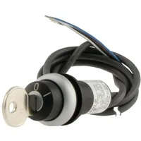 Eaton Power Quality Eaton Schlüsseltaste RMQ compact C22-WS-MS1-K01-P62