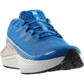 Salomon DRX Defy GRVL Schuhe (Größe 44, blau)