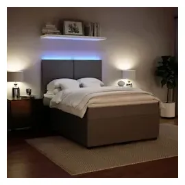 vidaXL Boxspringbett mit Matratze Hellgrau 160x200 cm Samt